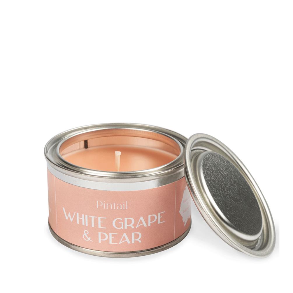 Pintail Candles White Grape & Pear Paint Pot Candle £5.18